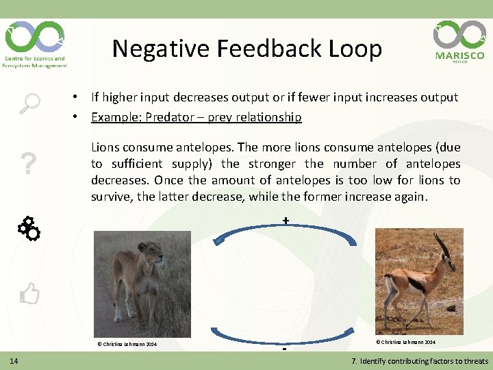 Negative Feedback Loop • If higher input decreases output or if fewer input increases