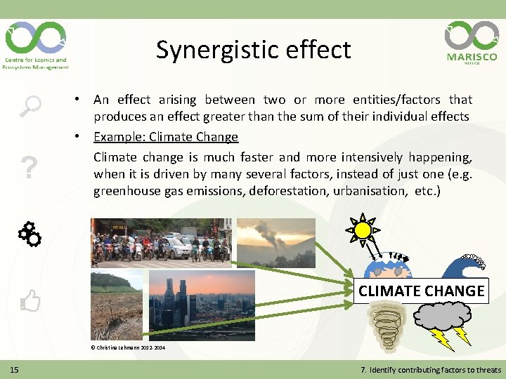 Synergistic effect ? • An effect arising between two or more entities/factors that produces