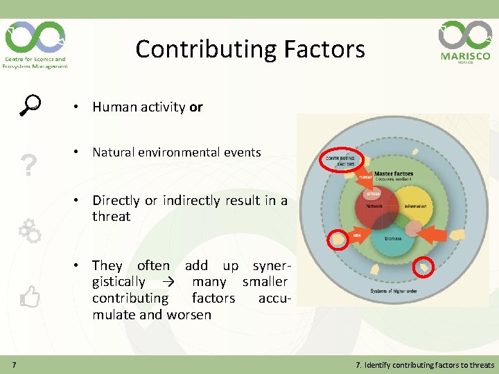 Contributing Factors • Human activity or ? • Natural environmental events • Directly or