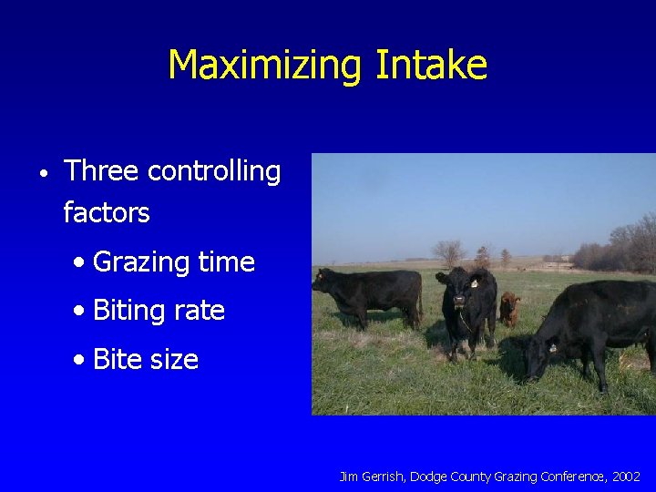 Maximizing Intake • Three controlling factors • Grazing time • Biting rate • Bite