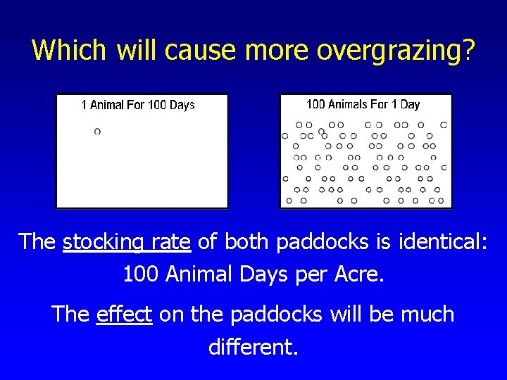 Which will cause more overgrazing? The stocking rate of both paddocks is identical: 100