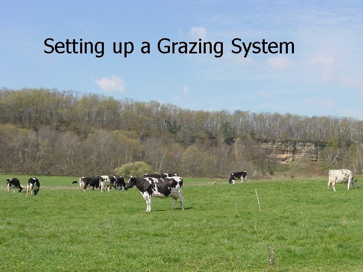 Setting up a Grazing System 