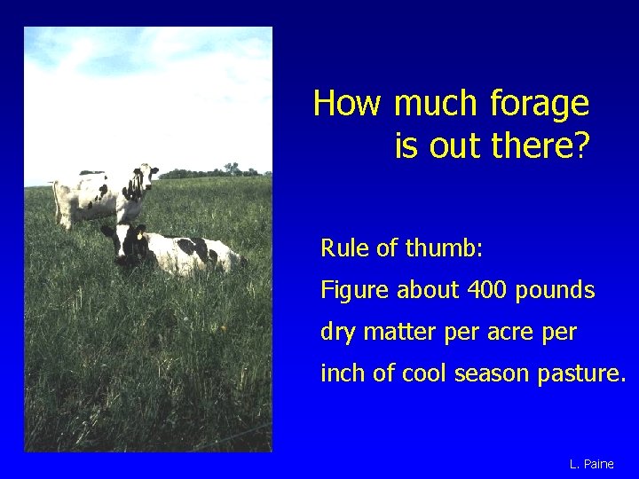 How much forage is out there? Rule of thumb: Figure about 400 pounds dry