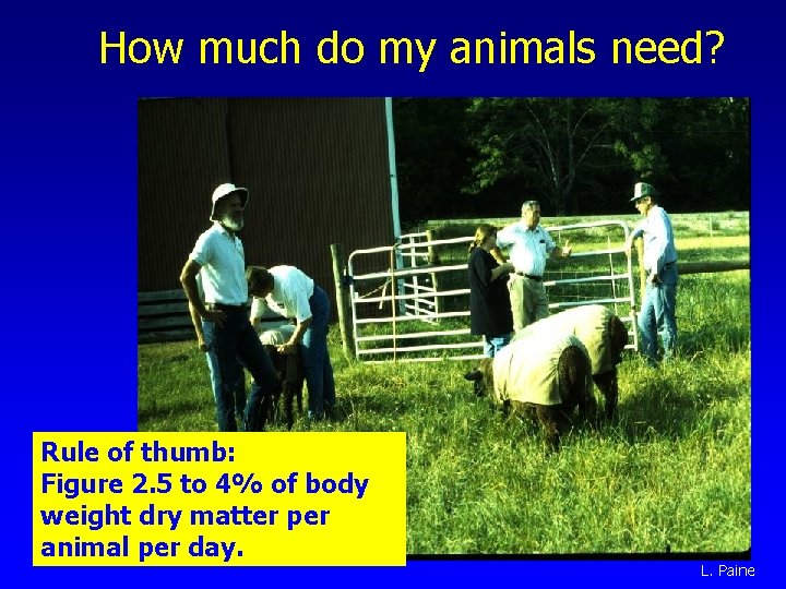 How much do my animals need? Rule of thumb: Figure 2. 5 to 4%