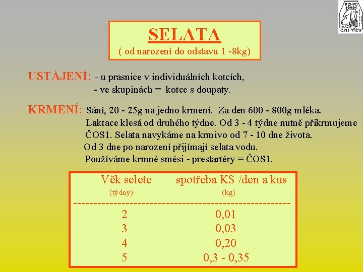 SELATA ( od narození do odstavu 1 -8 kg) USTÁJENÍ: - u prasnice v