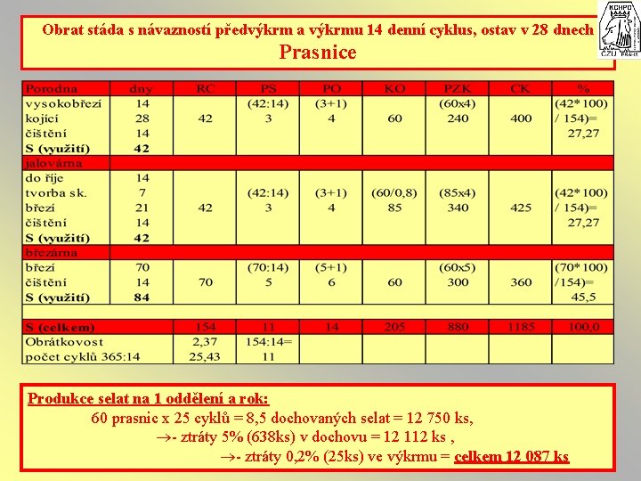 Obrat stáda s návazností předvýkrm a výkrmu 14 denní cyklus, ostav v 28 dnech