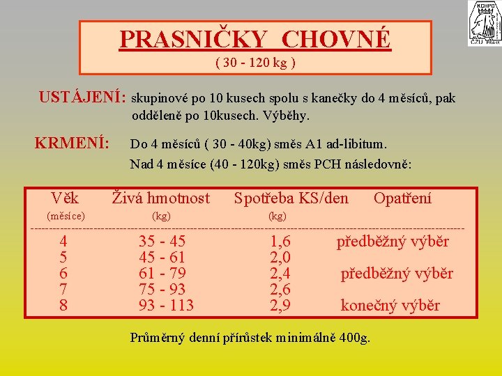 PRASNIČKY CHOVNÉ ( 30 - 120 kg ) USTÁJENÍ: skupinové po 10 kusech spolu