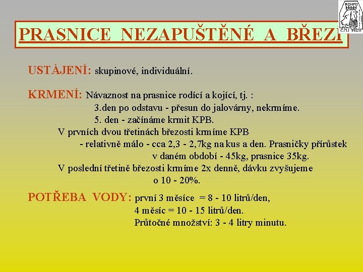 PRASNICE NEZAPUŠTĚNÉ A BŘEZÍ USTÁJENÍ: skupinové, individuální. KRMENÍ: Návaznost na prasnice rodící a kojící,