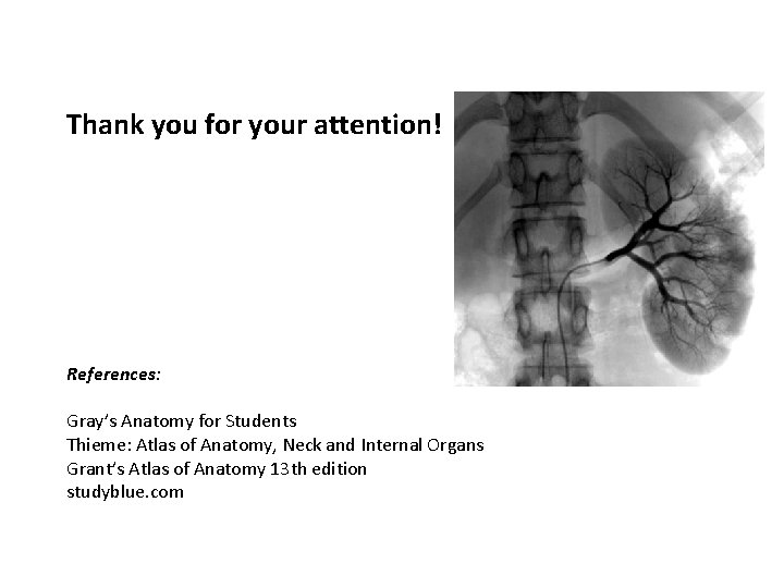 Thank you for your attention! References: Gray’s Anatomy for Students Thieme: Atlas of Anatomy,