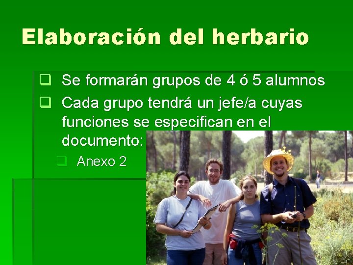 Elaboración del herbario q Se formarán grupos de 4 ó 5 alumnos q Cada