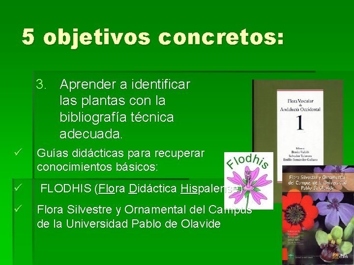5 objetivos concretos: 3. Aprender a identificar las plantas con la bibliografía técnica adecuada.