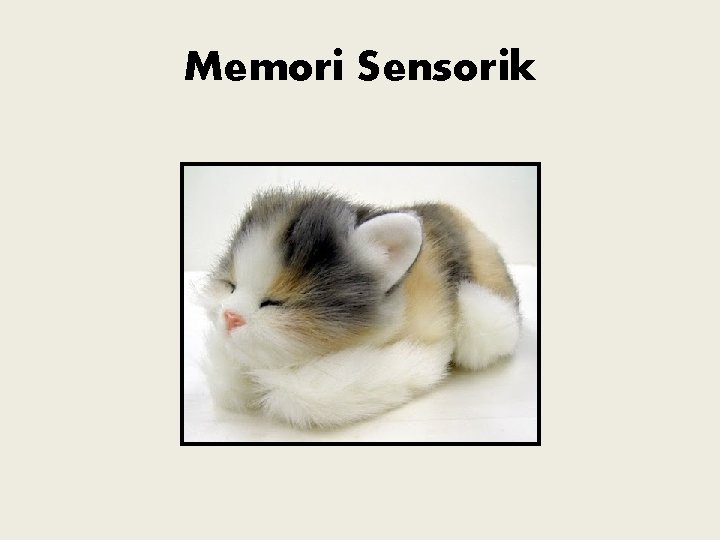 Memori Sensorik 