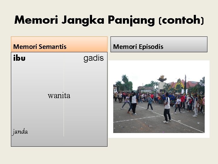 Memori Jangka Panjang (contoh) Memori Semantis gadis ibu wanita janda Memori Episodis 