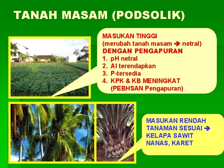 TANAH MASAM (PODSOLIK) MASUKAN TINGGI (merubah tanah masam netral) DENGAN PENGAPURAN 1. p. H