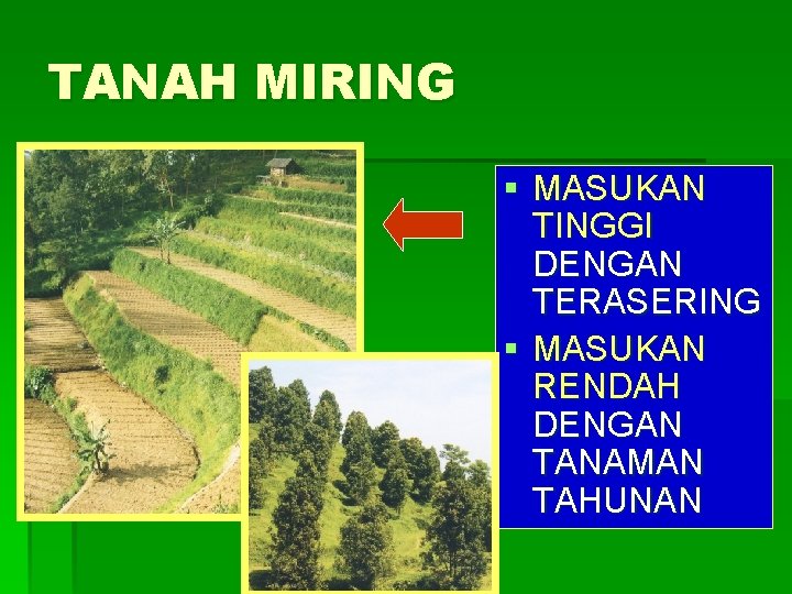 TANAH MIRING § MASUKAN TINGGI DENGAN TERASERING § MASUKAN RENDAH DENGAN TANAMAN TAHUNAN 