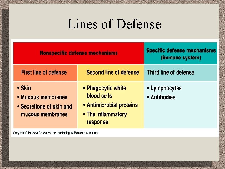 Lines of Defense 