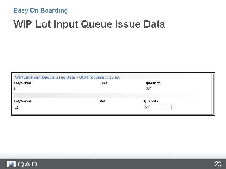 Easy On Boarding WIP Lot Input Queue Issue Data 23 