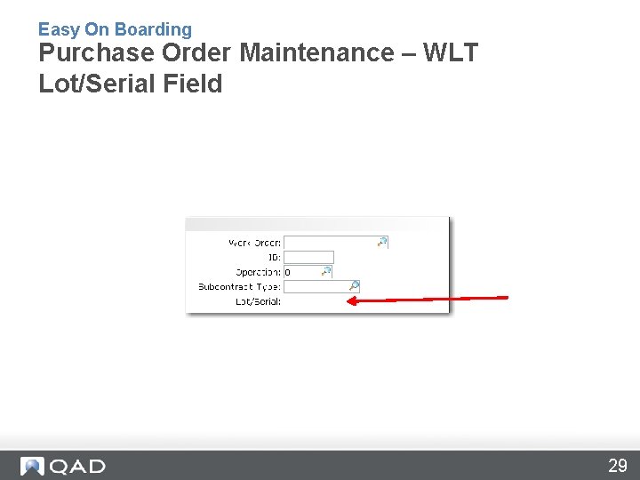 Easy On Boarding Purchase Order Maintenance – WLT Lot/Serial Field 29 