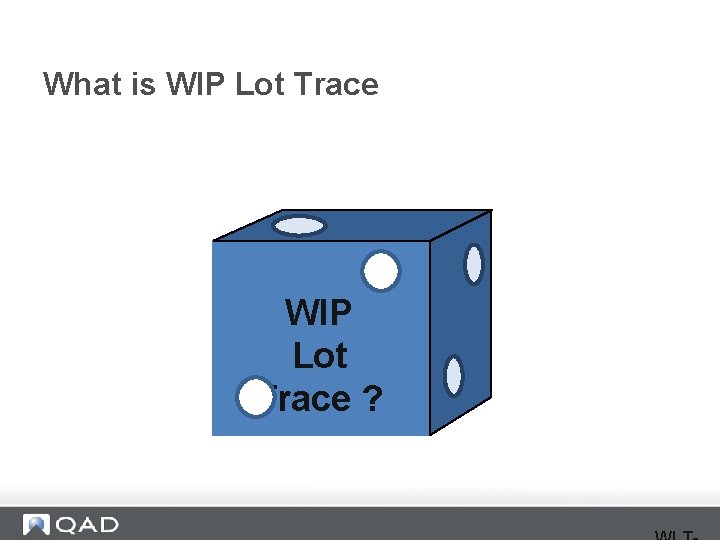 What is WIP Lot Trace ? 