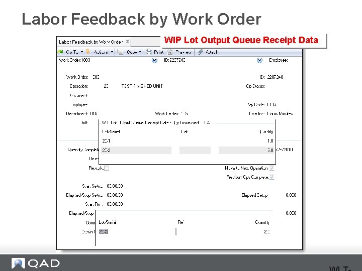 Labor Feedback by Work Order WIP Lot Output Queue Receipt Data 