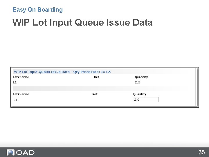 Easy On Boarding WIP Lot Input Queue Issue Data 35 