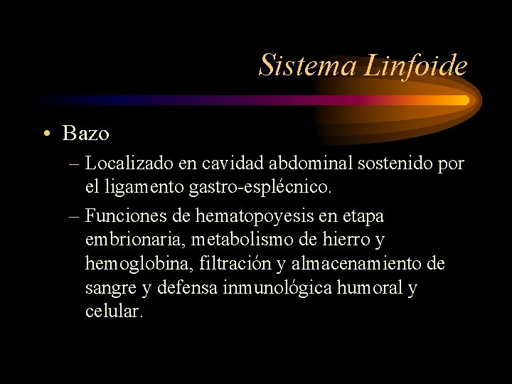 Sistema Linfoide • Bazo – Localizado en cavidad abdominal sostenido por el ligamento gastro-esplécnico.