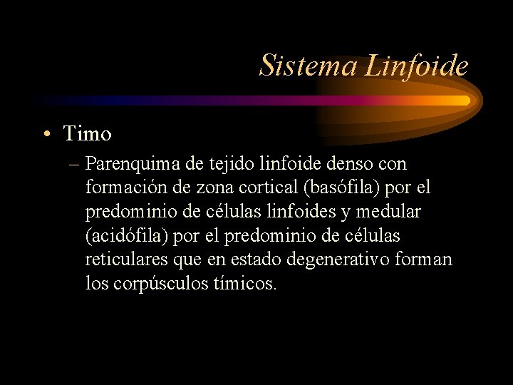 Sistema Linfoide • Timo – Parenquima de tejido linfoide denso con formación de zona