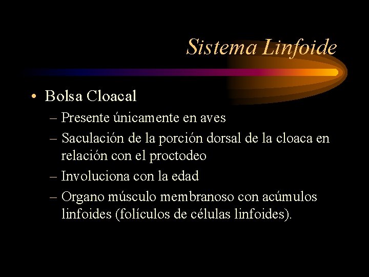 Sistema Linfoide • Bolsa Cloacal – Presente únicamente en aves – Saculación de la