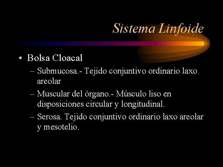 Sistema Linfoide • Bolsa Cloacal – Submucosa. - Tejido conjuntivo ordinario laxo areolar –