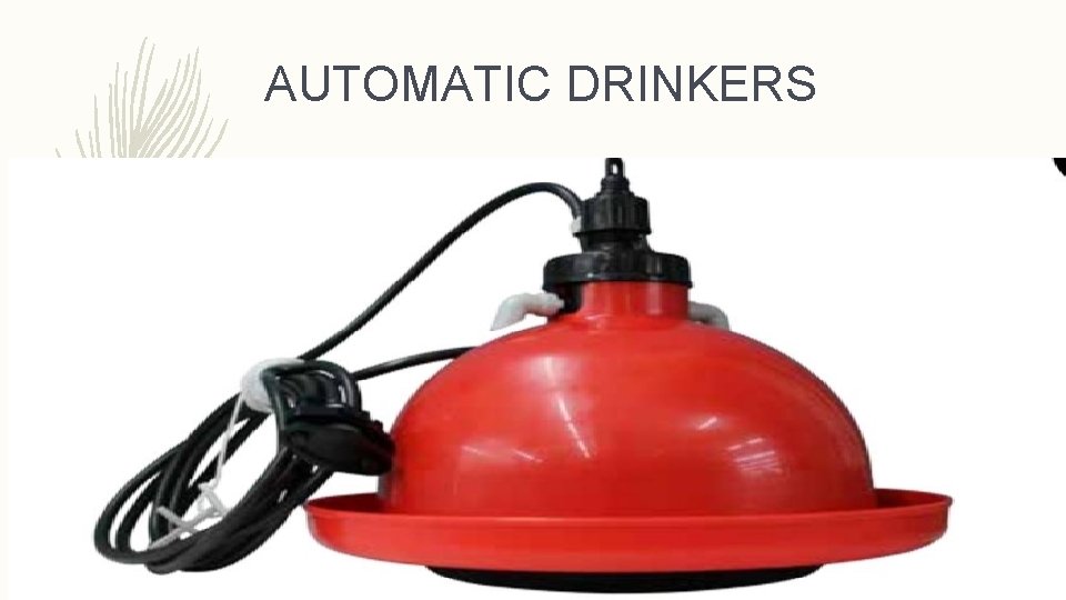 AUTOMATIC DRINKERS 