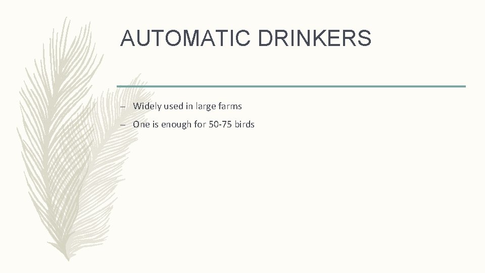AUTOMATIC DRINKERS – Widely used in large farms – One is enough for 50