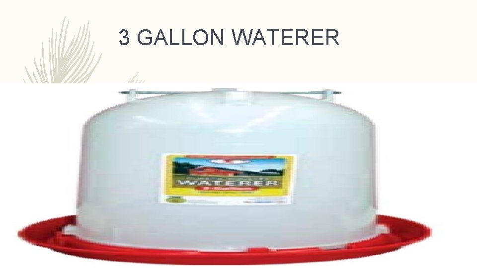 3 GALLON WATERER 