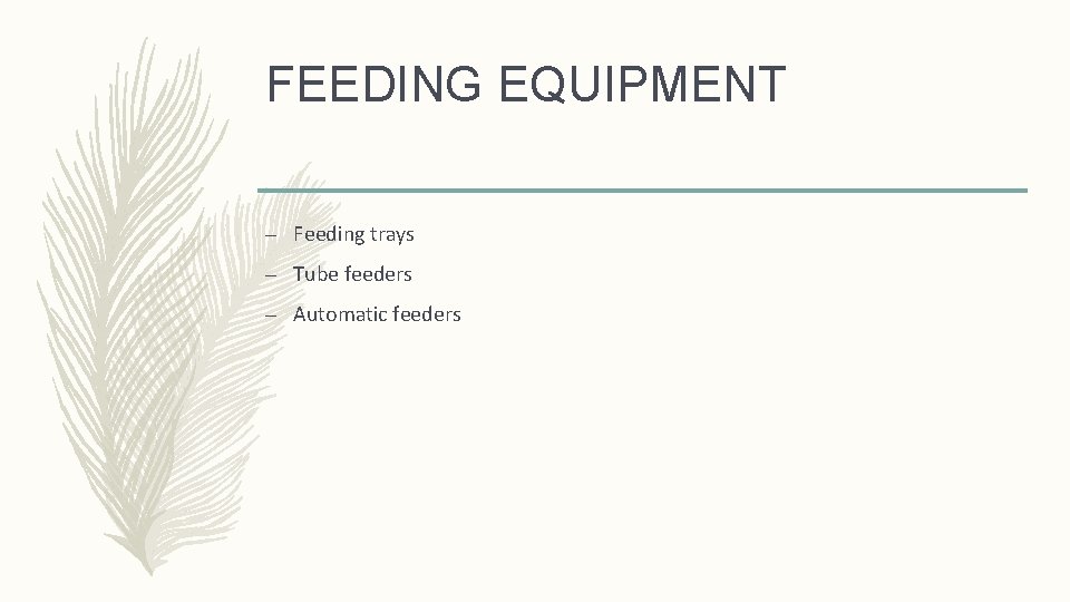 FEEDING EQUIPMENT – Feeding trays – Tube feeders – Automatic feeders 