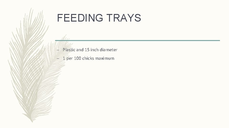 FEEDING TRAYS – Plastic and 15 inch diameter – 1 per 100 chicks maximum