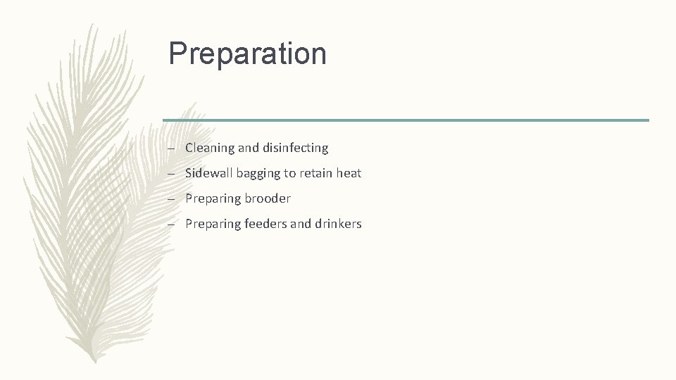 Preparation – Cleaning and disinfecting – Sidewall bagging to retain heat – Preparing brooder