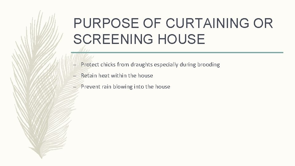 PURPOSE OF CURTAINING OR SCREENING HOUSE – Protect chicks from draughts especially during brooding