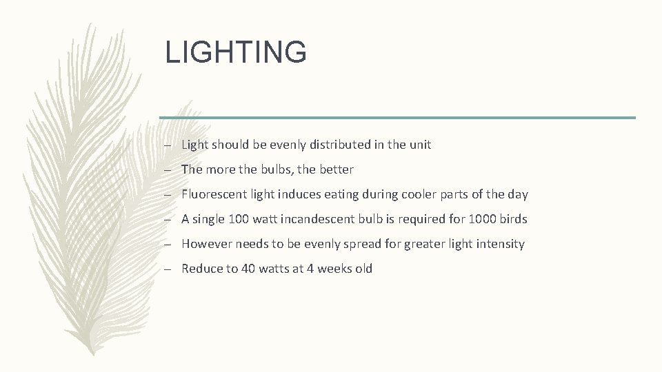 LIGHTING – Light should be evenly distributed in the unit – The more the