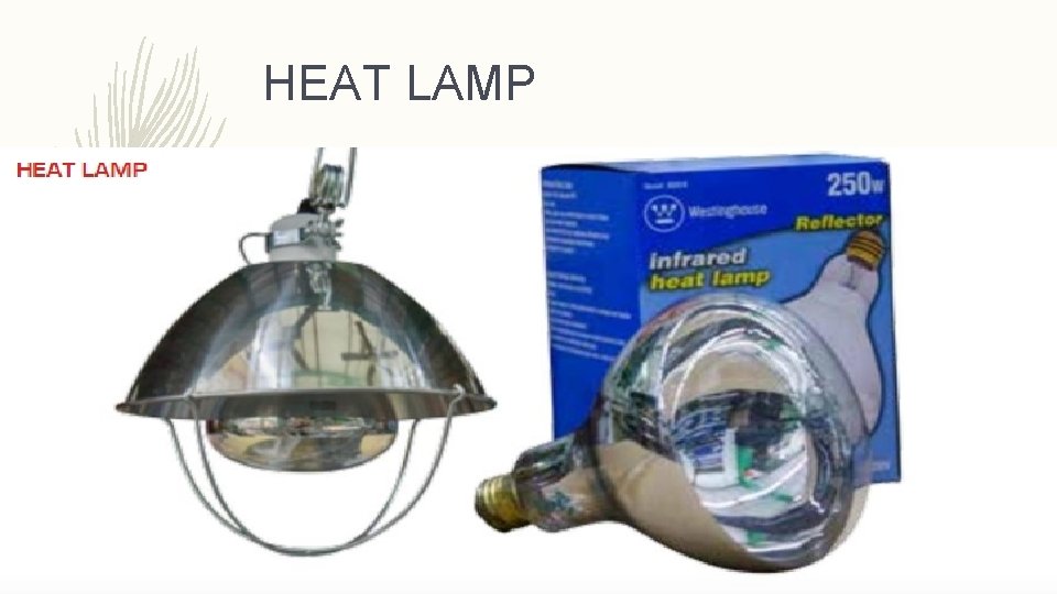 HEAT LAMP 