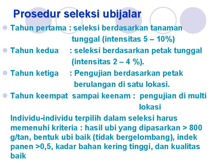 Prosedur seleksi ubijalar l Tahun pertama : seleksi berdasarkan tanaman tunggal (intensitas 5 –