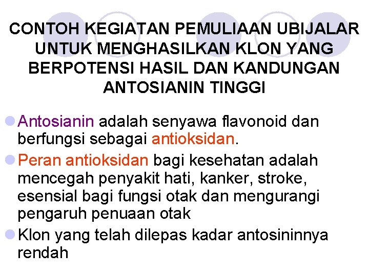 CONTOH KEGIATAN PEMULIAAN UBIJALAR UNTUK MENGHASILKAN KLON YANG BERPOTENSI HASIL DAN KANDUNGAN ANTOSIANIN TINGGI