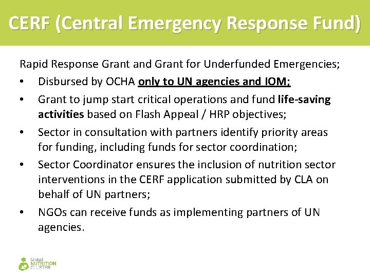 CERF (Central Emergency Response Fund) Rapid Response Grant and Grant for Underfunded Emergencies; •