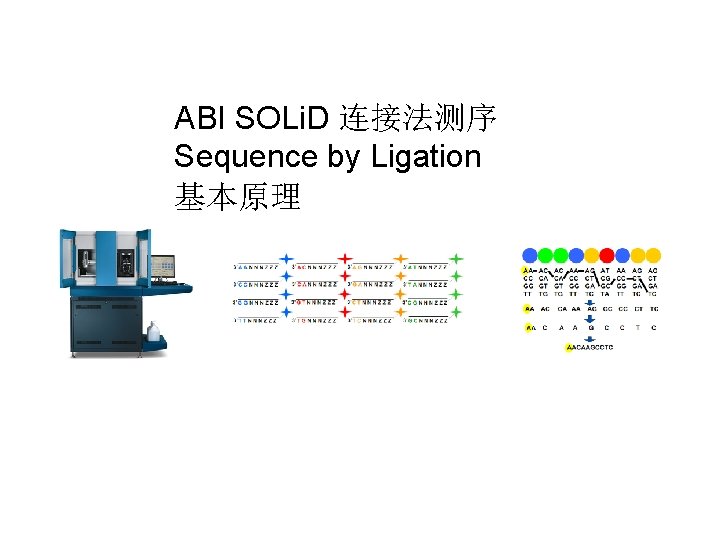 ABI SOLi. D 连接法测序 Sequence by Ligation 基本原理 ABI SOLi. D 连接法测序 Sequence by Ligation 基本原理