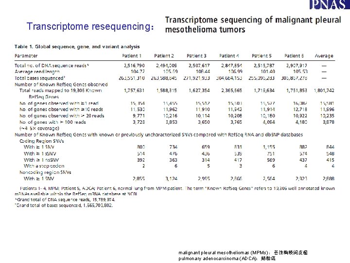 Transcriptome resequencing: malignant pleural mesotheliomas (MPMs) :恶性胸膜间皮瘤 pulmonary adenocarcinoma (ADCA):肺腺癌 Transcriptome resequencing: malignant pleural mesotheliomas (MPMs) :恶性胸膜间皮瘤 pulmonary adenocarcinoma (ADCA):肺腺癌