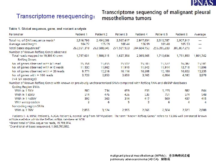 Transcriptome resequencing： malignant pleural mesotheliomas (MPMs) ：恶性胸膜间皮瘤 pulmonary adenocarcinoma (ADCA)：肺腺癌 