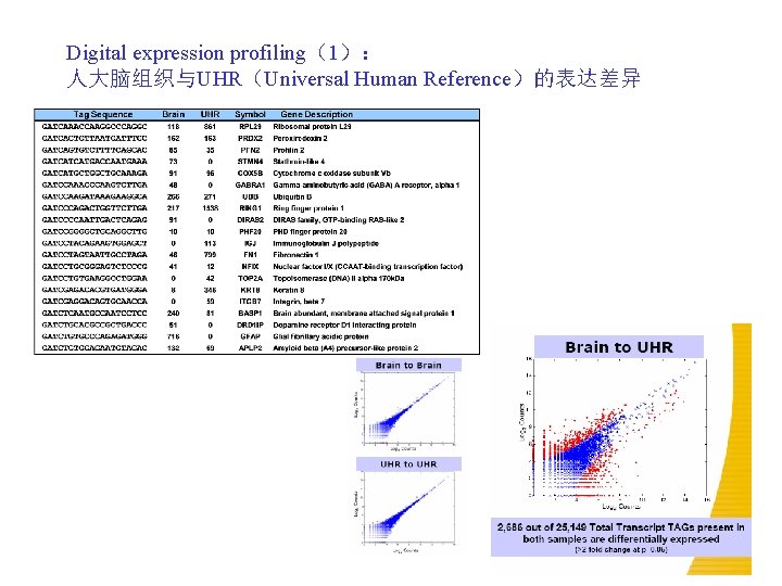Digital expression profiling(1): 人大脑组织与UHR(Universal Human Reference)的表达差异 Digital expression profiling(1): 人大脑组织与UHR(Universal Human Reference)的表达差异