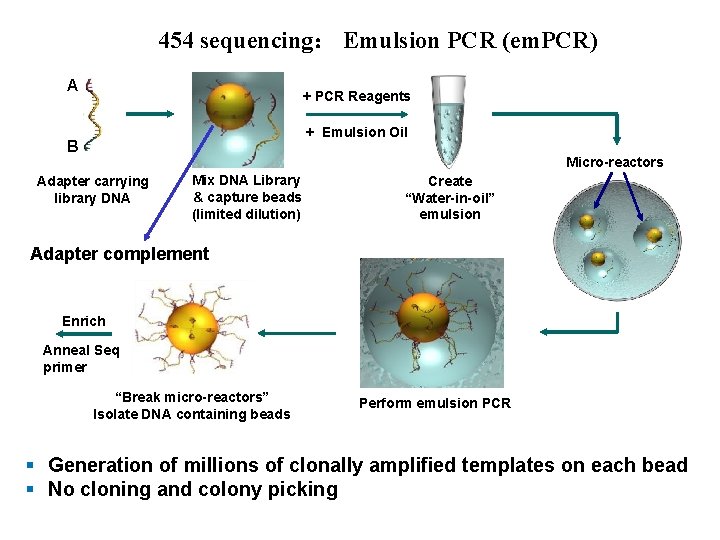 454 sequencing： Emulsion PCR (em. PCR) A + PCR Reagents + Emulsion Oil B