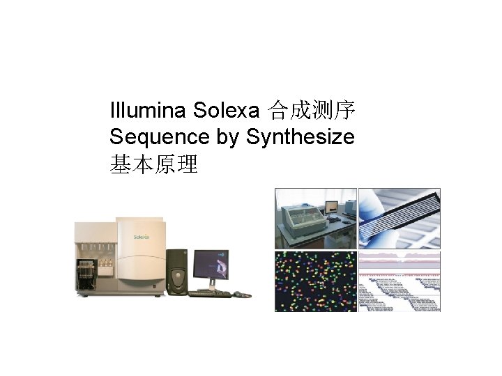 Illumina Solexa 合成测序 Sequence by Synthesize 基本原理 Illumina Solexa 合成测序 Sequence by Synthesize 基本原理