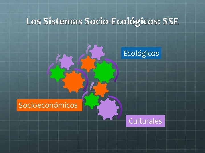Los Sistemas Socio-Ecológicos: SSE Ecológicos Socioeconómicos Culturales 