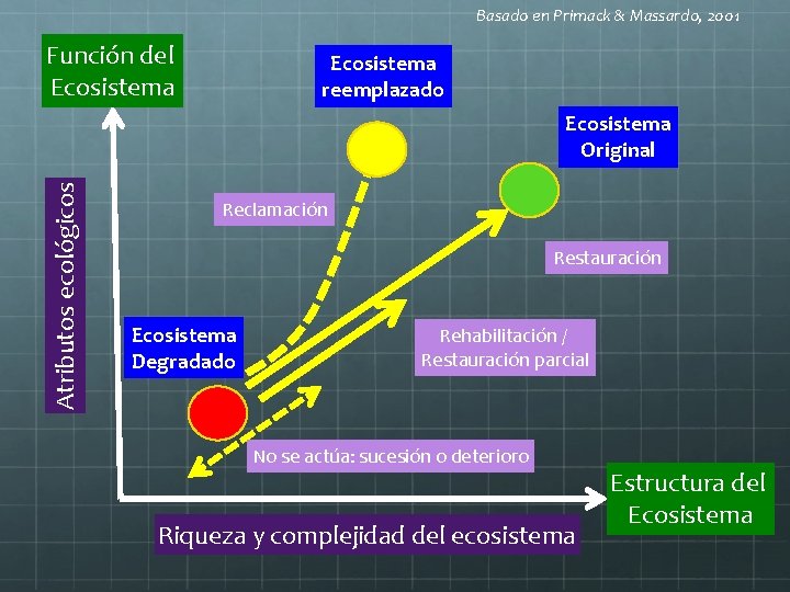 Basado en Primack & Massardo, 2001 Función del Ecosistema reemplazado Atributos ecológicos Ecosistema Original
