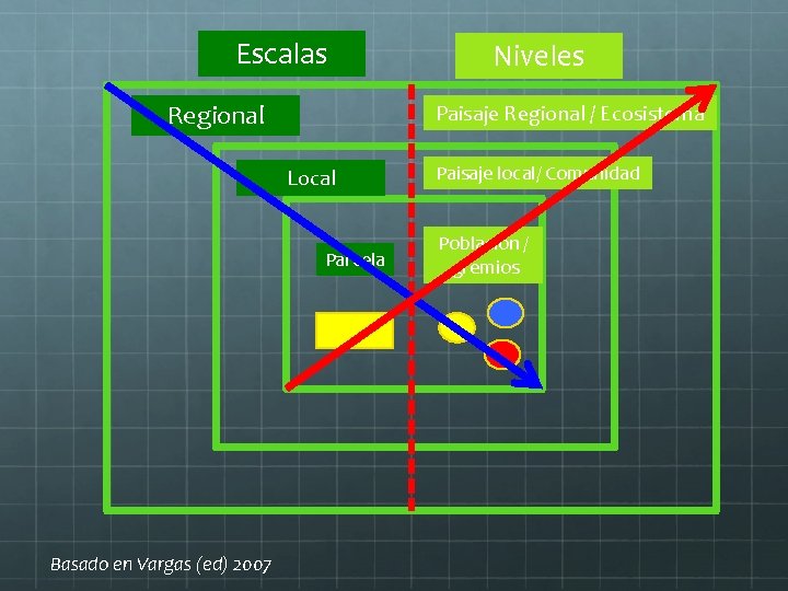 Escalas Regional Paisaje Regional / Ecosistema Local Parcela Basado en Vargas (ed) 2007 Niveles